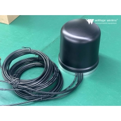 Combo Anten tủ ngoài trời